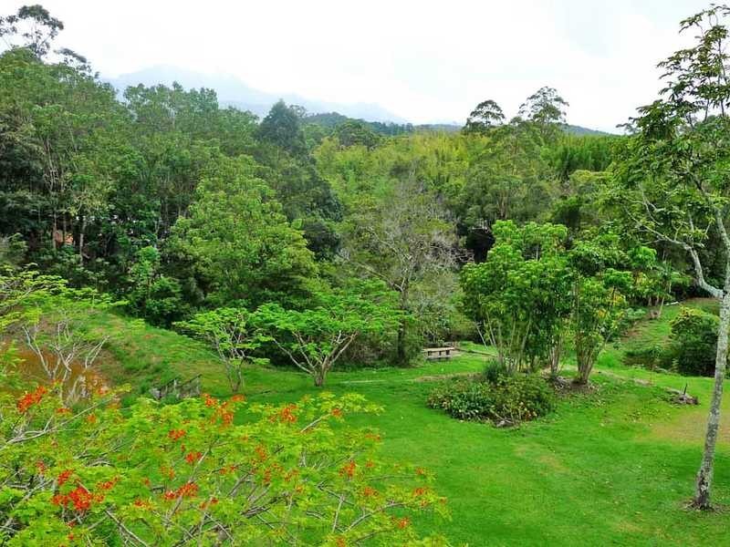 323 Mount Burrell Road, Mount Burrell NSW 2484