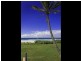 Unit 8/271 Golden Four Drive, Bilinga QLD 4225