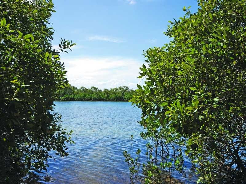 1/50 Dry Dock Road, Tweed Heads South NSW 2486