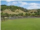 Cobaki NSW 2486