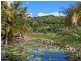 161 Cobaki Road, Cobaki NSW 2486