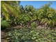 161 Cobaki Road, Cobaki NSW 2486
