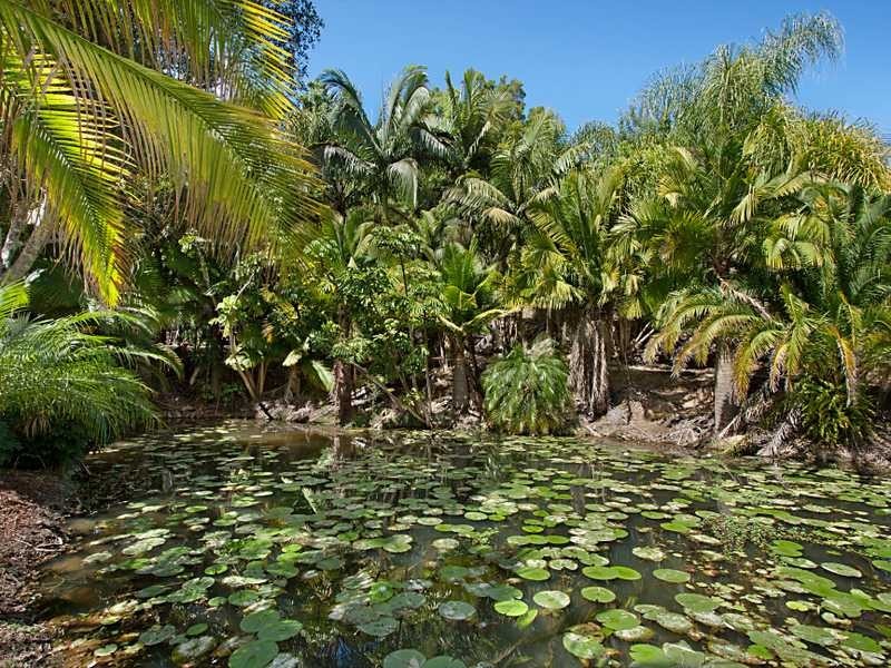 161 Cobaki Road, Cobaki NSW 2486