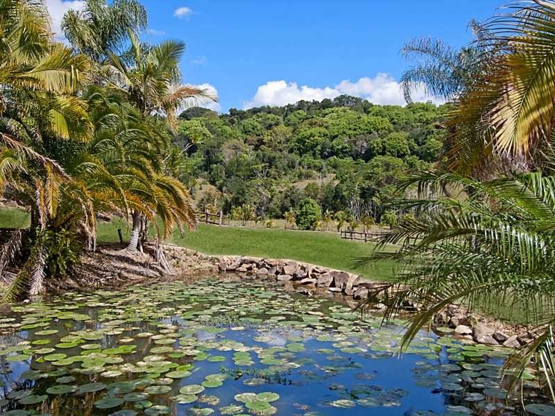 161 Cobaki Road, Cobaki NSW 2486