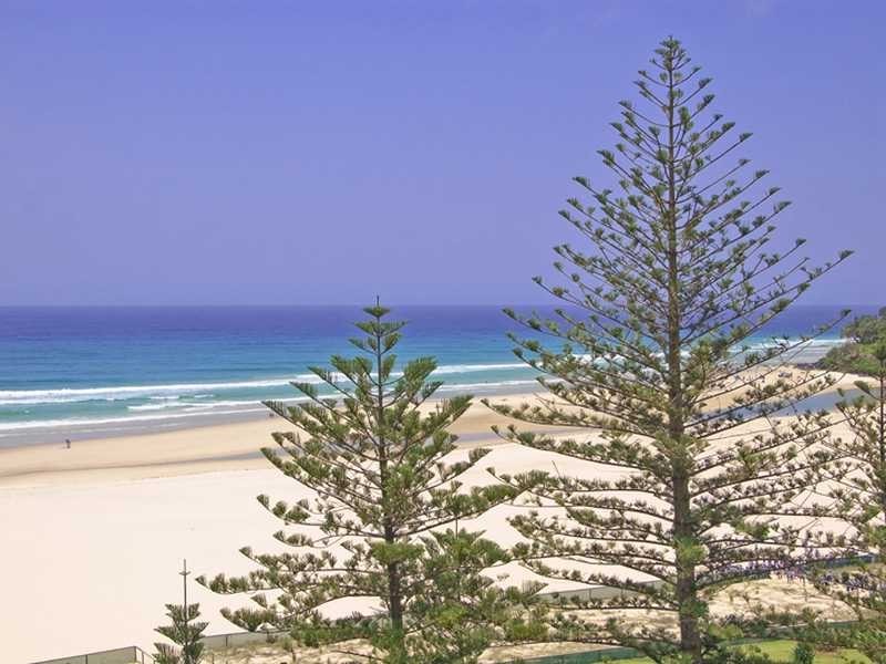 Apartment 803/88 Marine Parade, Coolangatta QLD 4225