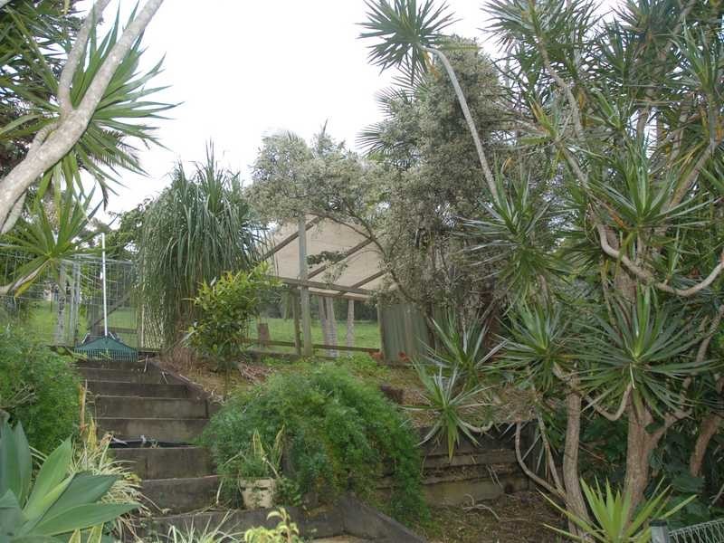 586 Currumbin Creek Road, Currumbin Valley QLD 4223