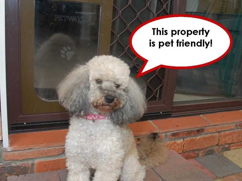 Tweed Heads West NSW 2485