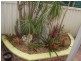 Tweed Heads West NSW 2485