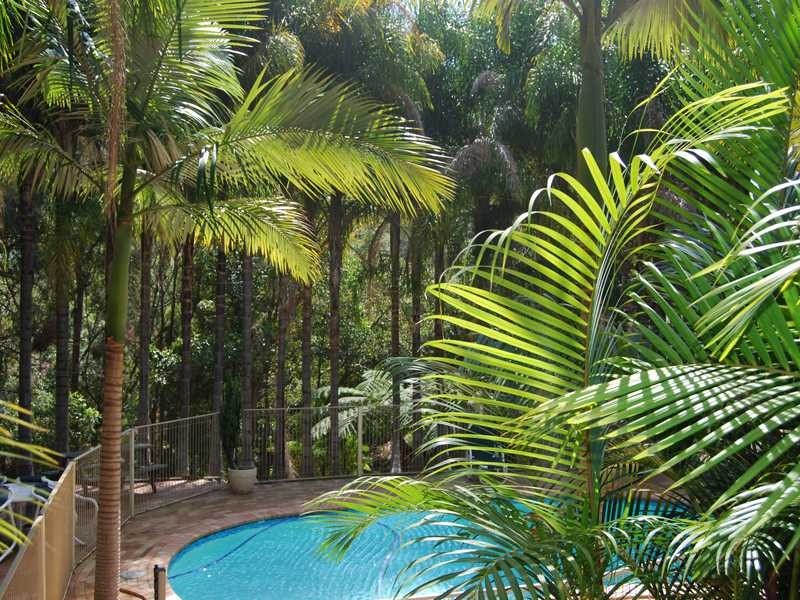 Unit 33/3 Clancy Court, Tugun QLD 4224