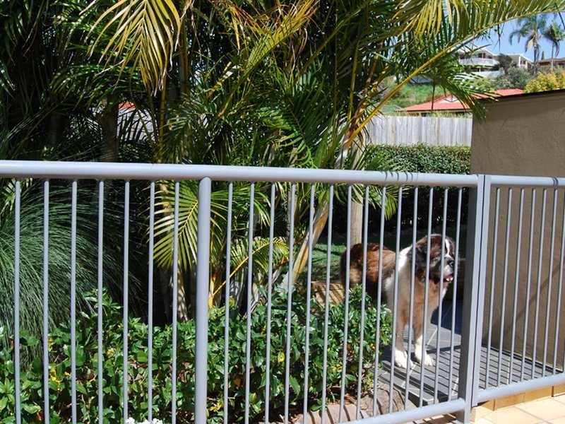 7 Comenara Crescent, Banora Point NSW 2486