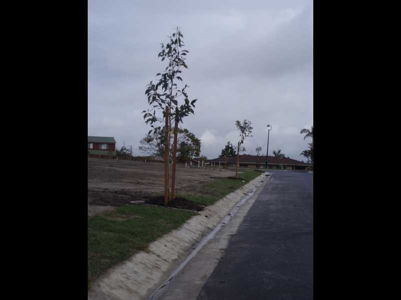 Lot 3 Ingham Street, Capalaba QLD 4157