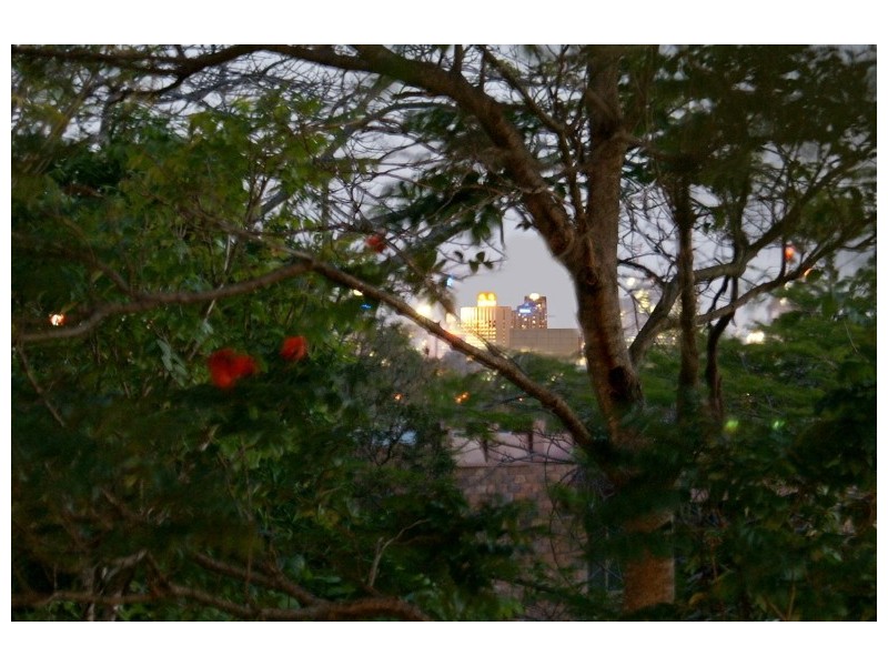 34 David Street, Alderley QLD 4051