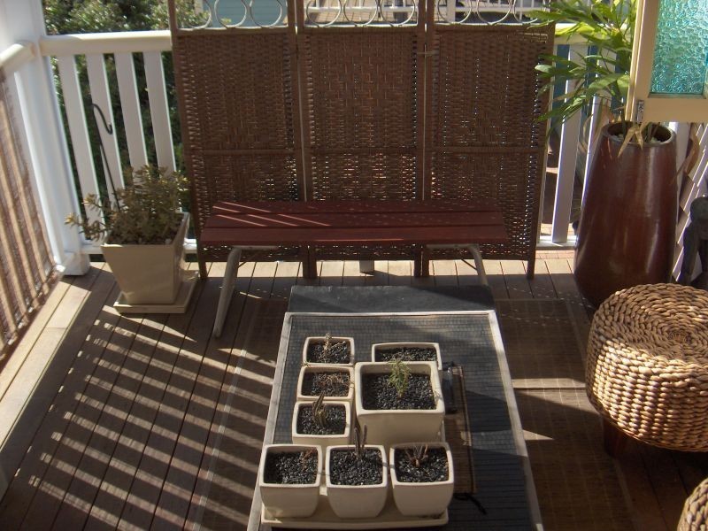 38 Watson Street, Camp Hill QLD 4152