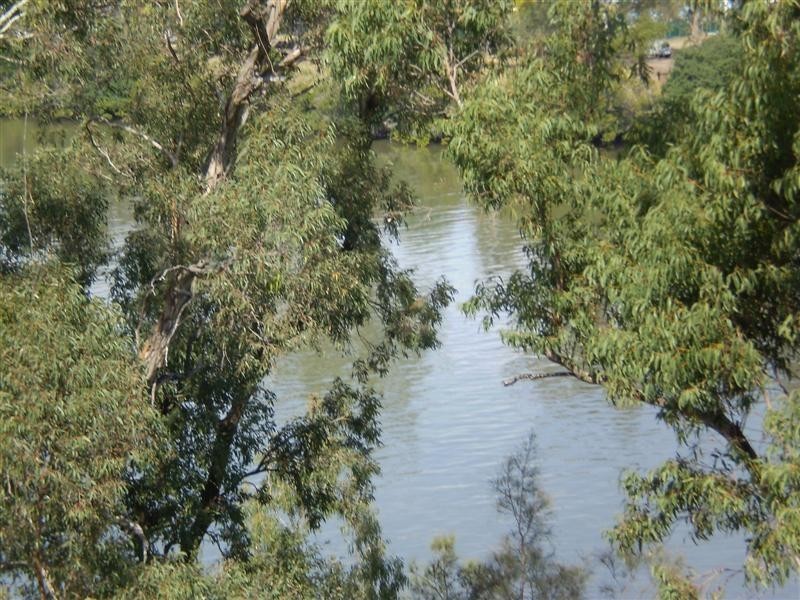 17/9 Rosecliffe Street, Highgate Hill QLD 4101