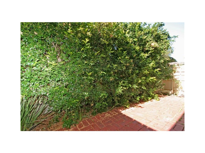 2/232 Arrabri Avenue, Mount Ommaney QLD 4074