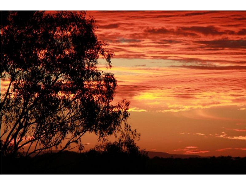 12 Coolaroo Crescent, Jindalee QLD 4074