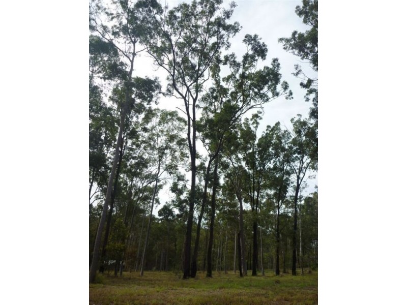 31 Eland Court, Greenbank QLD 4124