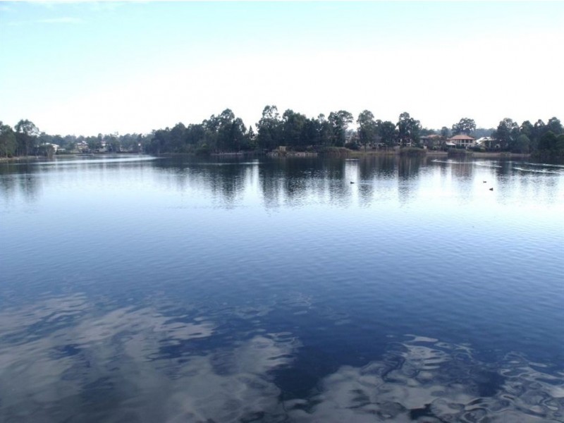 81 Pendula Circuit, Forest Lake QLD 4078