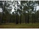 31 Eland Court, Greenbank QLD 4124