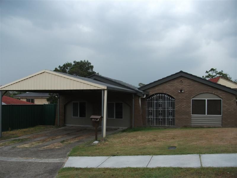 Jamboree Heights QLD 4074