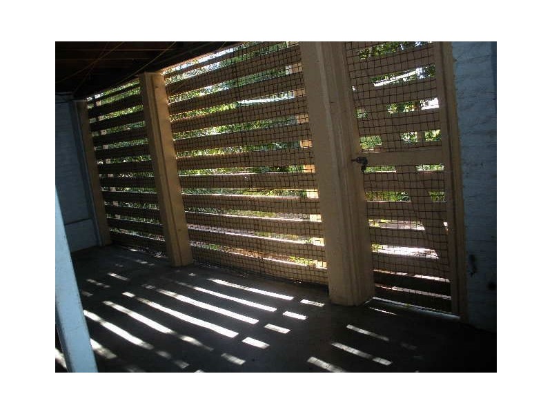 49 Brownie Street, Jamboree Heights QLD 4074