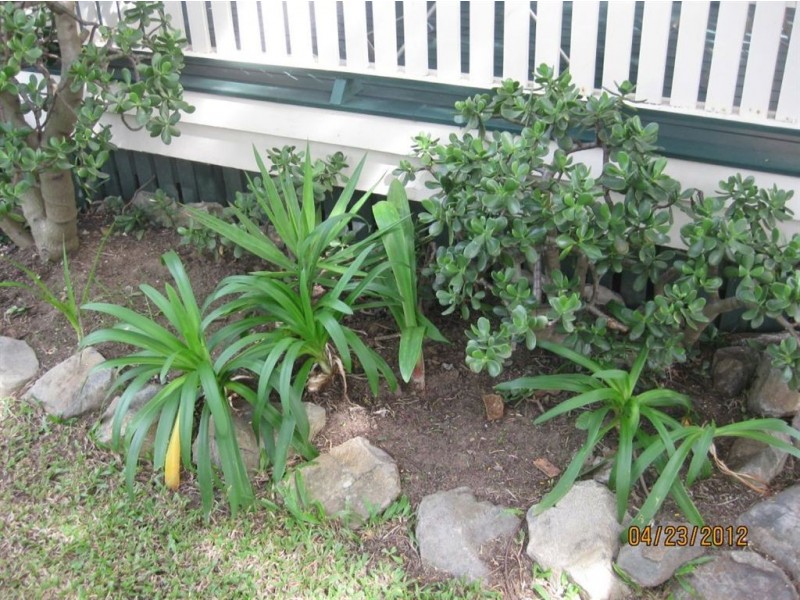 2 Popondetta Close, Darra QLD 4076