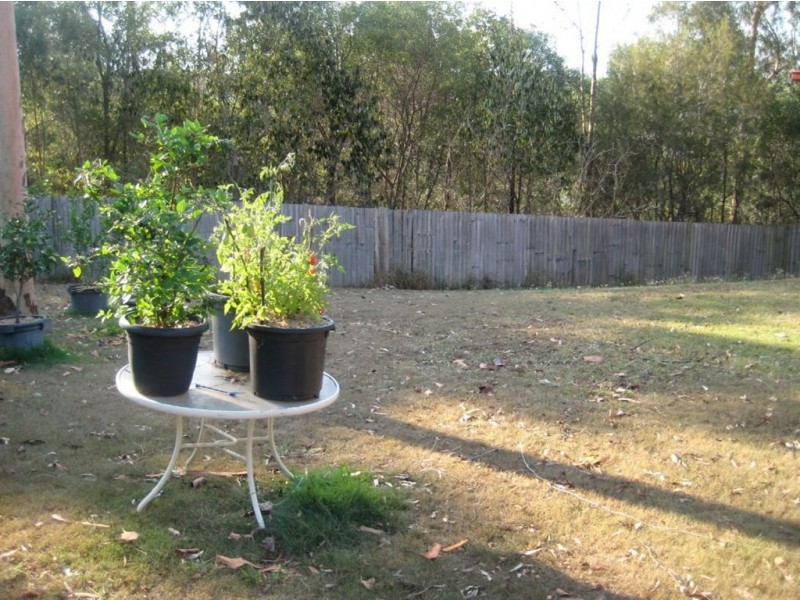 61 Livesay Road, Moggill QLD 4070