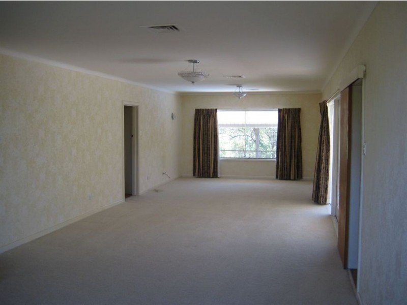 5 Bina Street, Chapel Hill QLD 4069