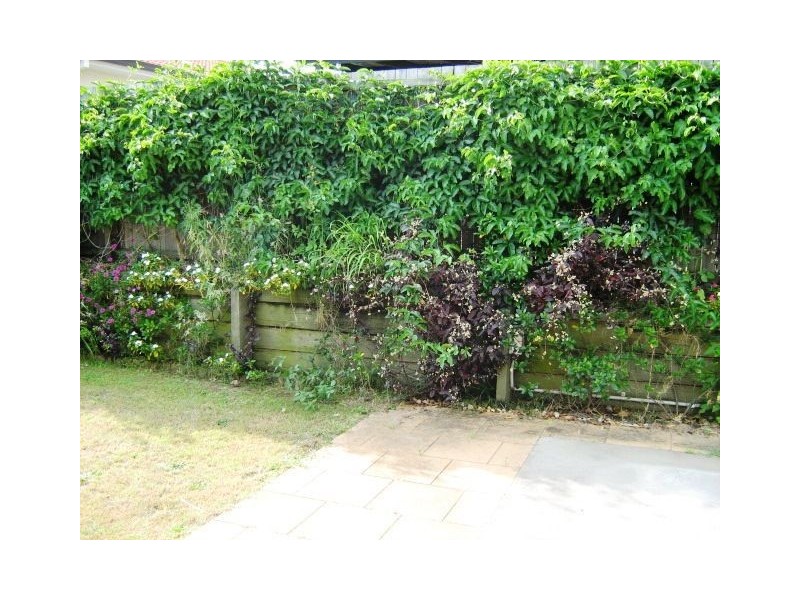 5 Wandi CLose, Riverhills QLD 4074