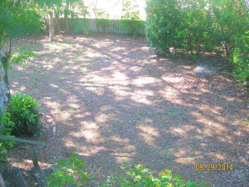 49 Brownie Street, Jamboree Heights QLD 4074