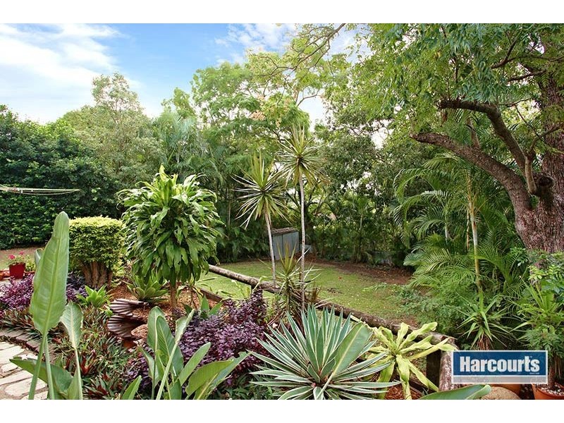 45 Brownie Street, Jamboree Heights QLD 4074