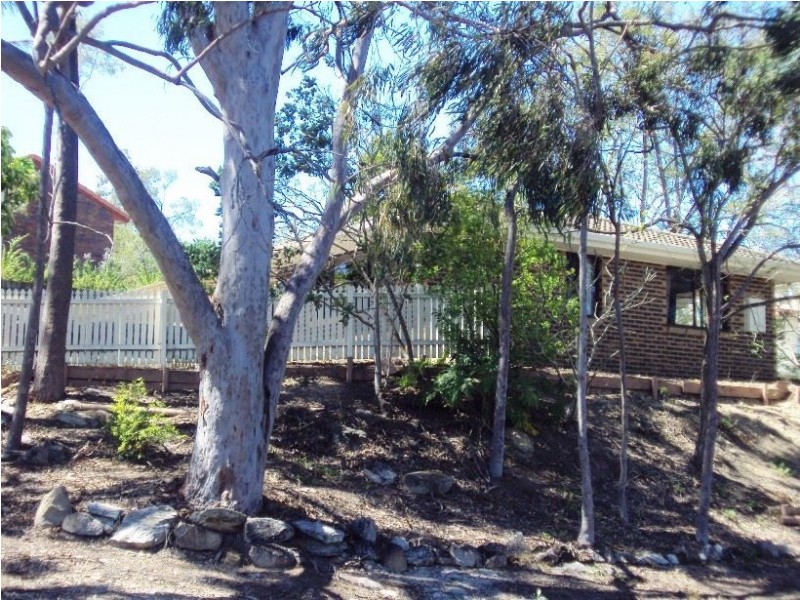 10 Anchusa Street, Bellbowrie QLD 4070