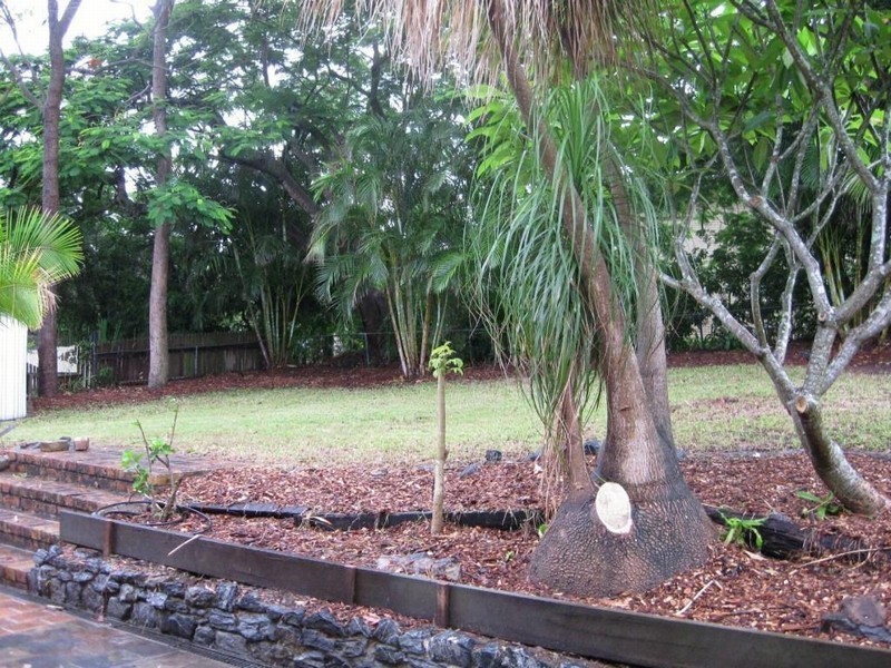 Jamboree Heights QLD 4074