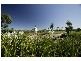 Lot 165 Sandcastle Drive, Mulambin Waters, Yeppoon QLD 4703