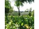 Lot 31-67 Paramount Park Estate, Parkhurst QLD 4702