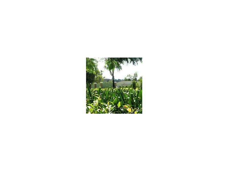 Lot 31-67 Paramount Park Estate, Parkhurst QLD 4702