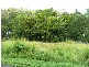 314 Thirkettle Avenue, Frenchville QLD 4701