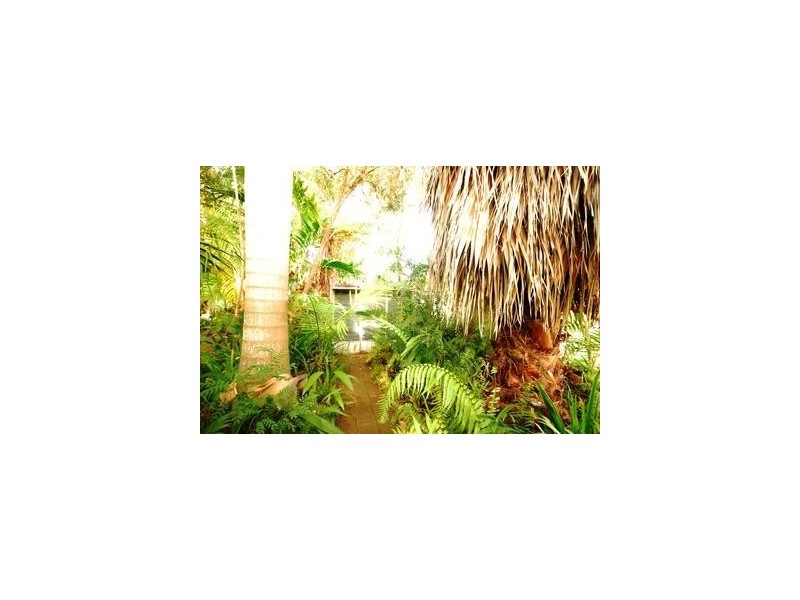 10 Jard Street, Frenchville QLD 4701