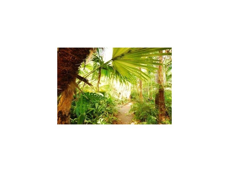 10 Jard Street, Frenchville QLD 4701