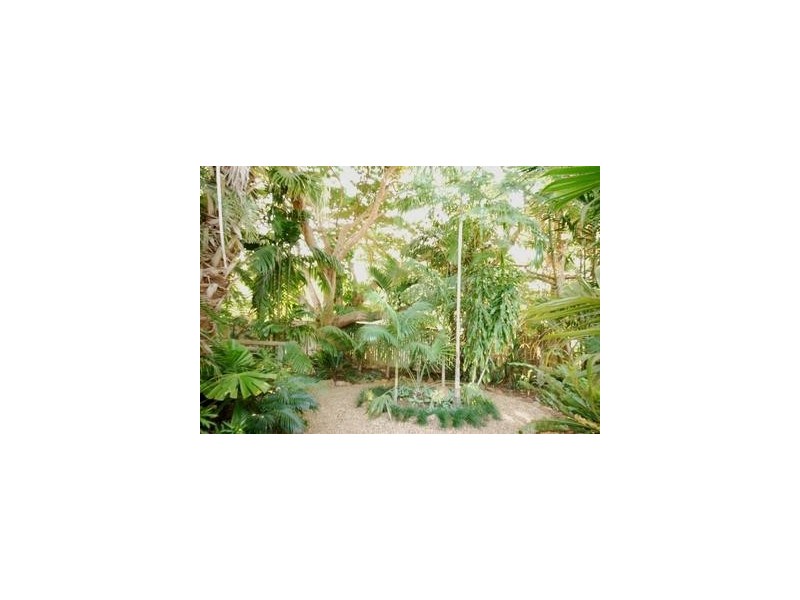 367 French Avenue, Frenchville QLD 4701