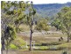 2655 Clonmel Road, Monto QLD 4630