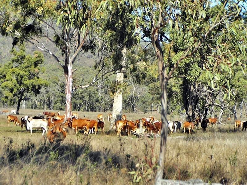 2655 Clonmel Road, Monto QLD 4630