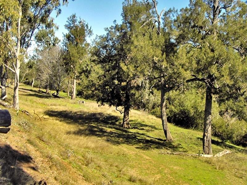 2655 Clonmel Road, Monto QLD 4630