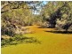 2655 Clonmel Road, Monto QLD 4630