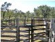 2655 Clonmel Road, Monto QLD 4630