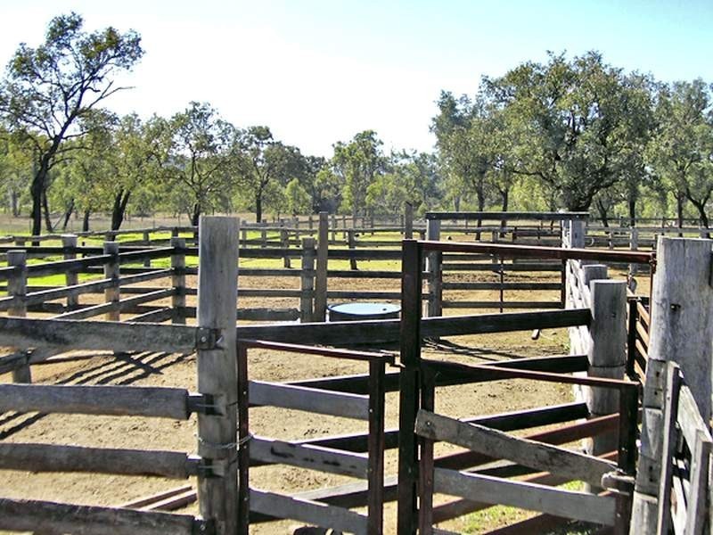 2655 Clonmel Road, Monto QLD 4630