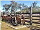 2655 Clonmel Road, Monto QLD 4630