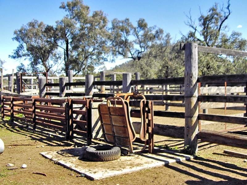 2655 Clonmel Road, Monto QLD 4630