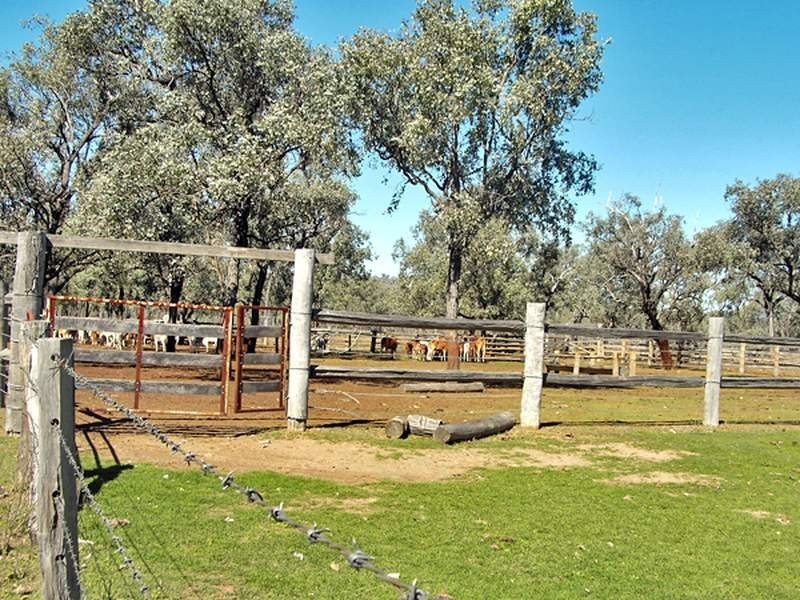 2655 Clonmel Road, Monto QLD 4630