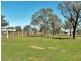 2655 Clonmel Road, Monto QLD 4630